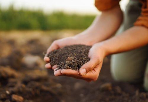 Women holding a handful of soil Women holding a handful of soil