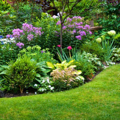 Garden bed with colourful flowers and a green lawn Garden bed with colourful flowers and a green lawn