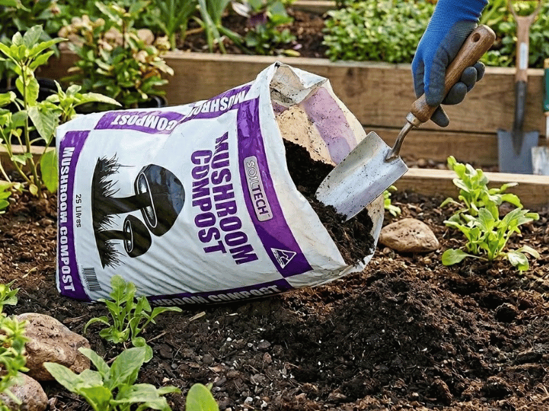 Mushroom compost getting spread over garden bed
