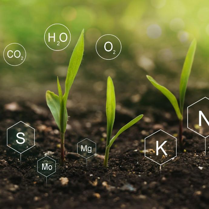 compost elements