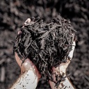 BLACK WOOD MULCH