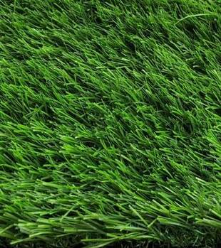 AUS TURF INST GRASS PLUSH GREEN 40 (1.8m x5m Roll)